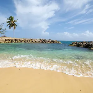 jamaica-time-driftwood-at-sea-palms-3br-3ba-condo-in.comcaribbean.com/